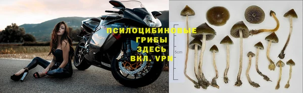 гидропоника Абдулино