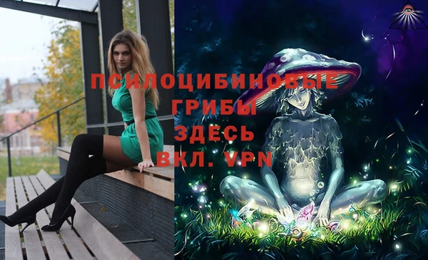 гидропоника Абдулино