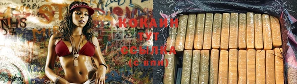 гашик Абаза