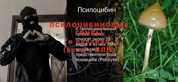 экстази Алзамай