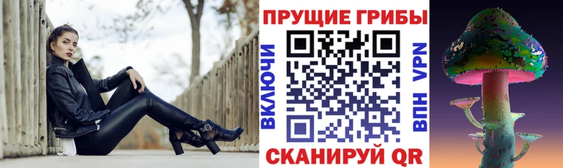 Галлюциногенные грибы Psilocybine cubensis  Советский 